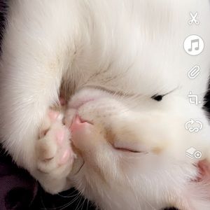 Meet your Posher, Isamar